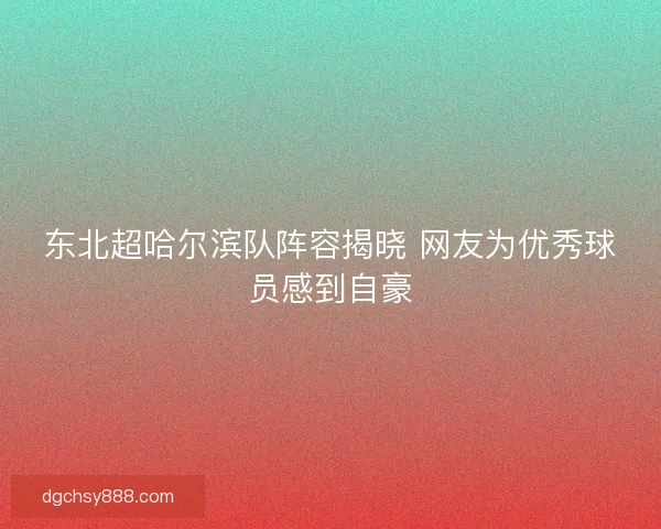 东北超哈尔滨队阵容揭晓 网友为优秀球员感到自豪